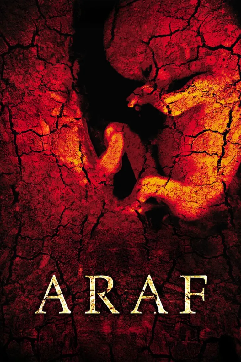 Araf (2006) film afişi