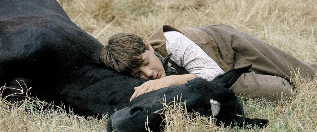 Black Beauty (1994) – at filmleri