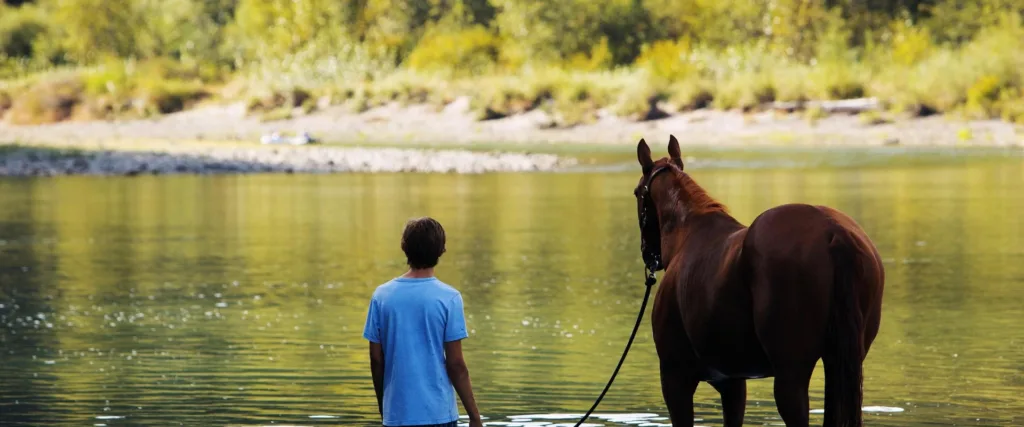 Lean on Pete (2017) – at filmleri