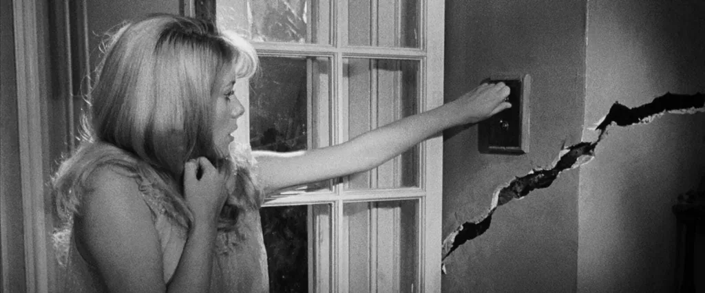 psikolojik korku filmleri - Repulsion (1965)