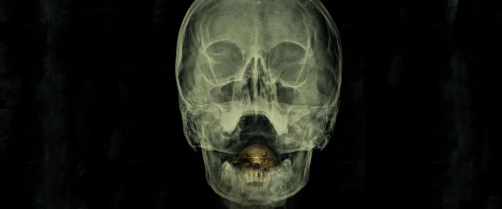 found footage korku filmleri - The Bay (2012)
