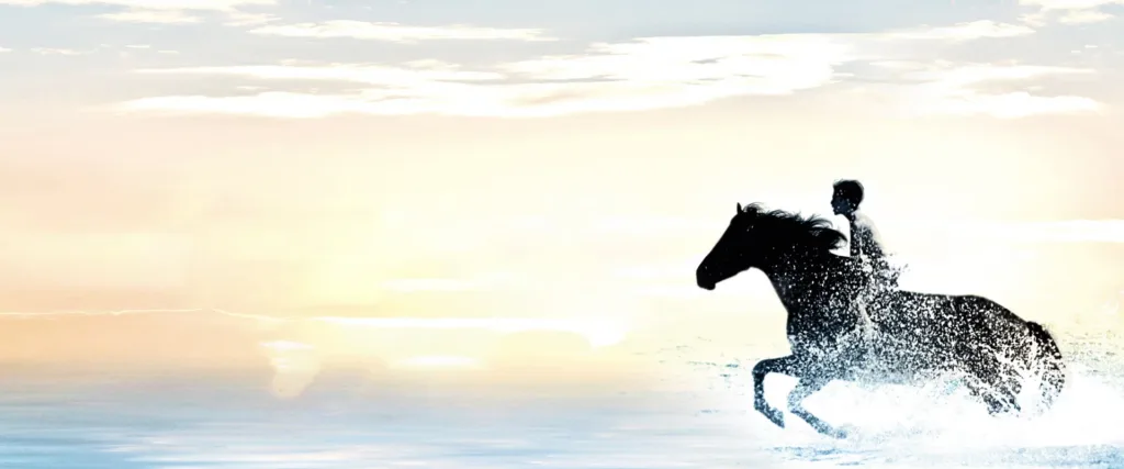 The Black Stallion (1979) – at filmleri