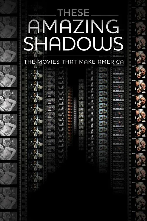 These Amazing Shadows (2011) film afişi